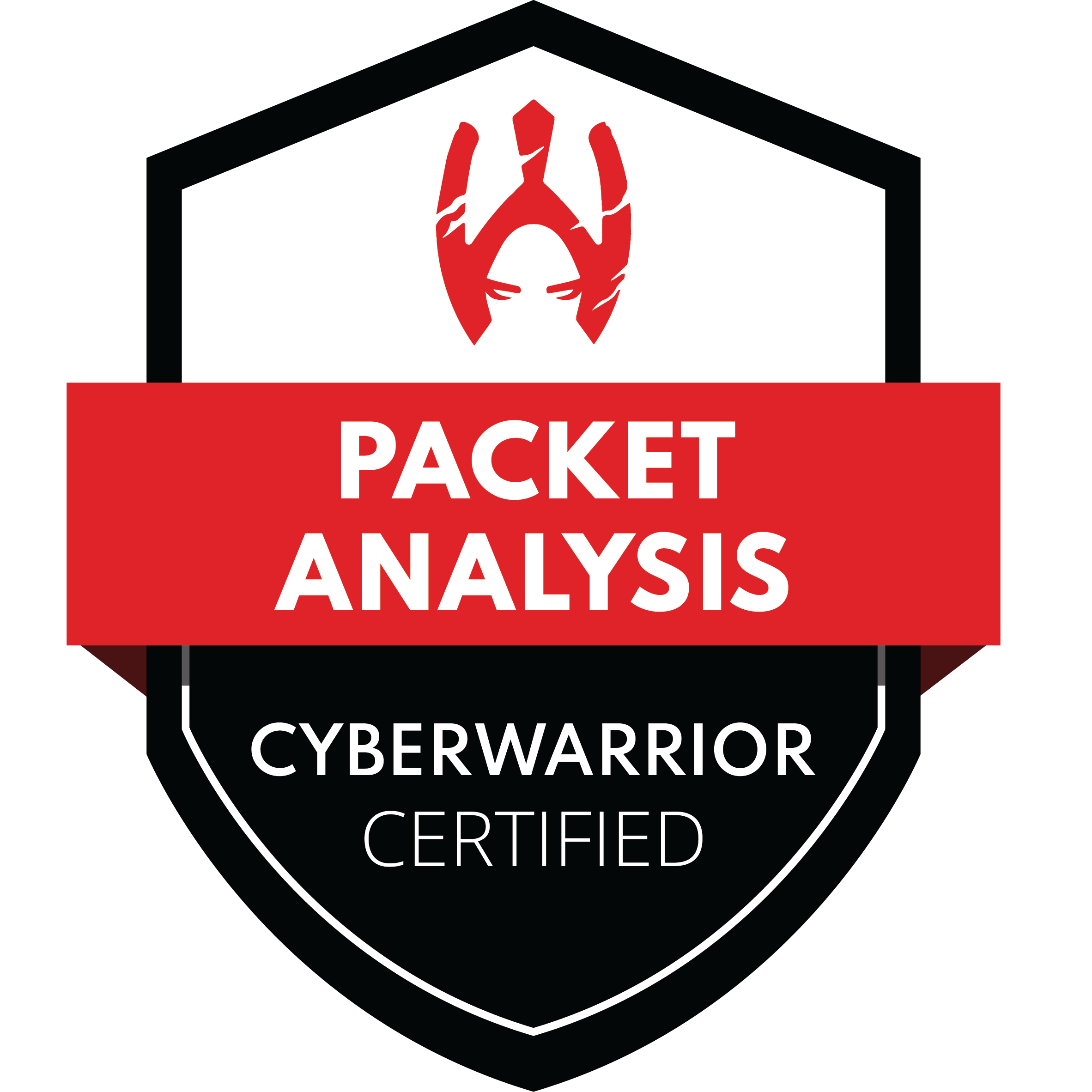 ESPA105 - Packet Analysis with WireShark ESPA102