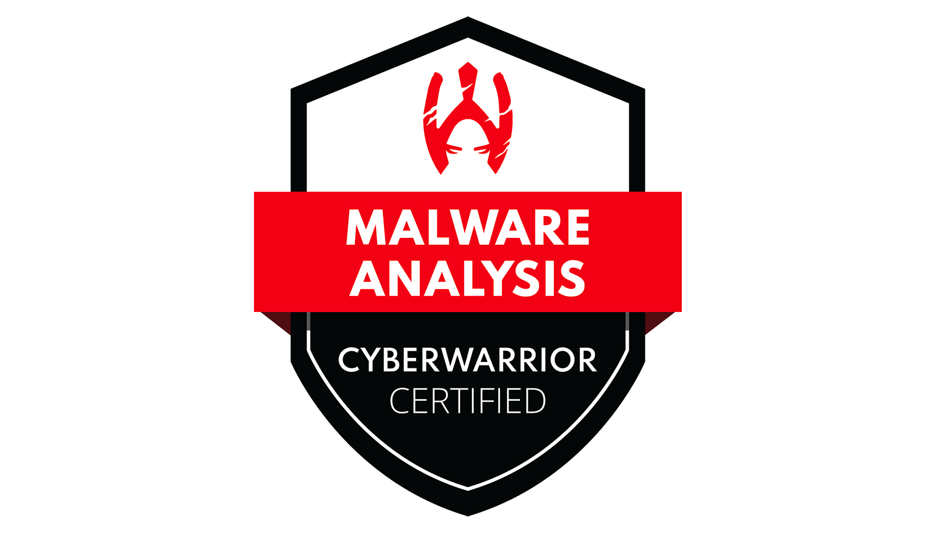 SSMA101 - Introducción al Análisis de Malware SSMA101