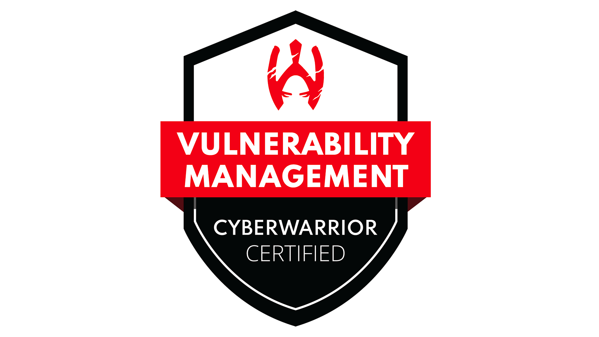 VU101 - Vulnerability Management VU101